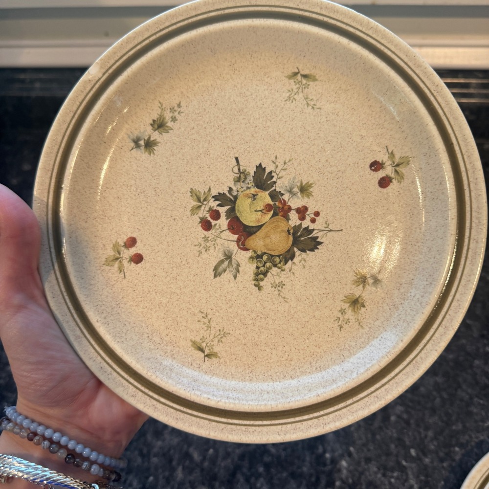 Vintage Royal Doulton Stonewear Cornwall Pattern Dinner Plate set of 2